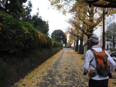 まだ銀杏の紅葉がたくさん残っていた紀尾井坂をすぎると。