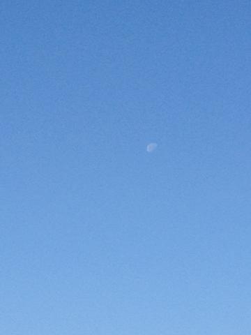 雲一つない青空に白夜月