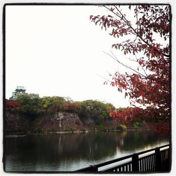 紅葉に染まる大阪城！