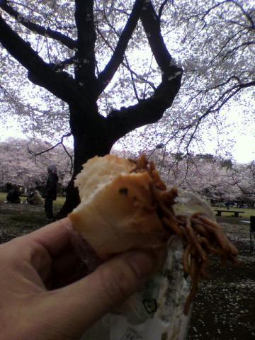 で、食べかけの焼きそばパンと桜　見事なコントラスト・・・