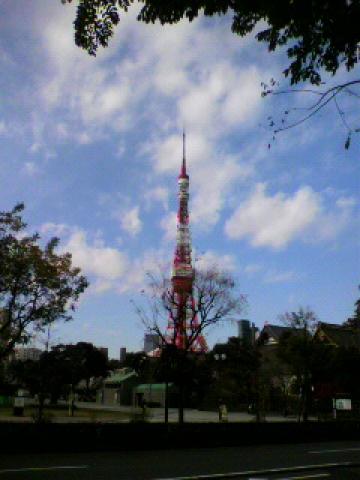 スカイツリーもいいけど、東京タワー・・・も忘れておらしまへんで・・・。東京土産２
