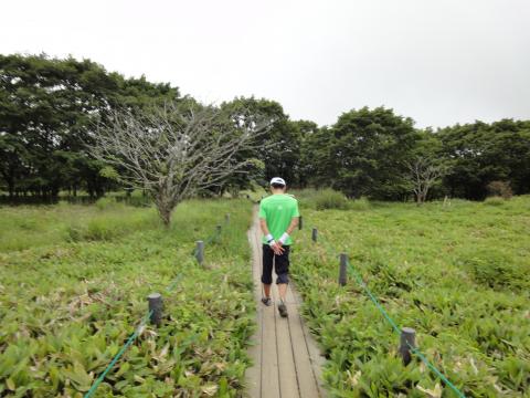 奥霧ヶ峰の先の湿原と牧場で