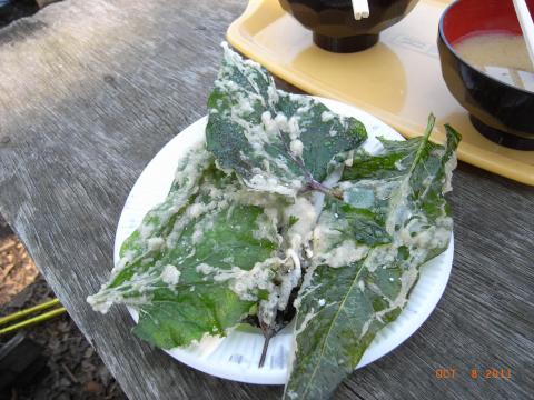 近場で採取しているという野草の天ぷら３００円。うーんこれはいい商売だなー。仕入れはタダだし。