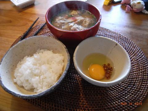 平凡な玉子かけご飯ですが数年ぶりです。
炭水化物に機敏に反応してすぐ太るため、平日は取得せず、いつも、長く走る週末の２食だけ（土日の昼だけ）炭水化物を食べるのですが、どうしても好きなラーメンになってしまい、日本人の基本食の白いお米を食べることがありませんでした。
故郷のあきたこまちと新鮮生なまたまご、女房手作りラー油、鰯のつみれ汁で数年ぶりに味わいました。
ああ、日本人でよかった。もちろん一膳ではすまなかったため本日も20キロ走りました。