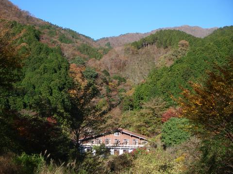 大倉から林道に入るとしばらくしてこんな里山の風景が広がる。それにしても良い天気。
