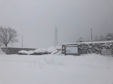 百年記念塔は雪に煙っていました