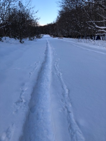 開拓の村に続く雪道を登ります。
