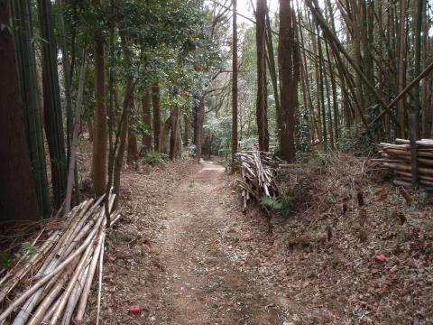 山の中の道。我々のグループで竹を刈った場所。