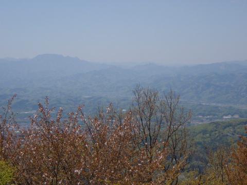 大霧山からの展望。両神山の左右に八ヶ岳と蓼科山が見えているが写真には写っていない・・・