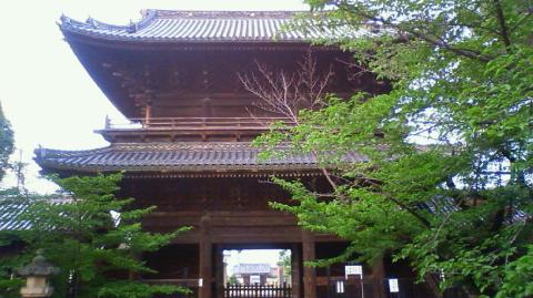 立派な大樹寺の門