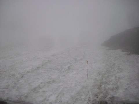 朝から時折雨。深い濃霧の中双六岳、三俣蓮華岳を目指す。残雪の量がすごい