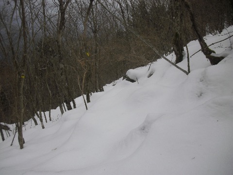 やっと見つけた林道への下降路　雪が深くて膝まで潜りながらラッセル