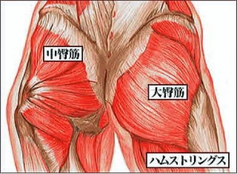 中臀筋は脚と腰を繋いでいる筋肉だそうで、そこが炎症を起こして固くなっているらしい。
