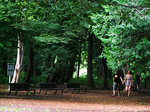 林試の森公園。
木に囲まれ、適度なアップダウンがあり、ウッドチップのような走路なので、季節を問わず、ランニング、ウォーキングに最適だと思います。