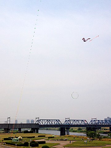 丸子橋付近では、連凧や巨大凧、円形凧などいろいろな凧揚げが見られます。