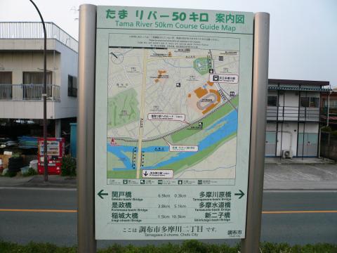 たまリバー50キロって、始点と終点ってどこなんでしょう?