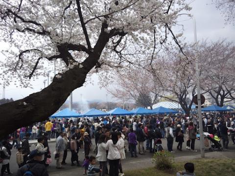 走り終わった後の桜祭り~