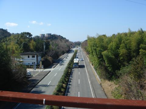 上からの眺めはこう。正面は内宮方面。右側が倉田山公園。
