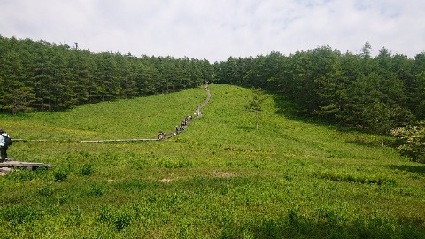 入笠湿原に下る木道。上からだと判らないが、木道の両側には日本すずらんが多数咲いている。