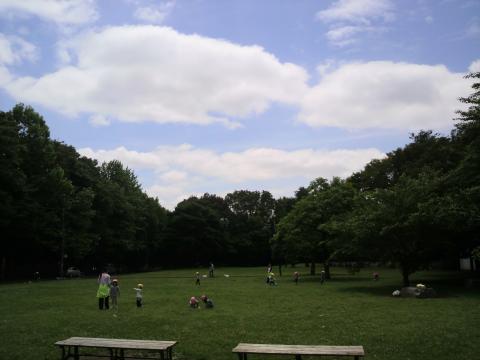 城北公園に到着！本日は快晴。風は日差しのわりにかなり冷たく気持ち良い。