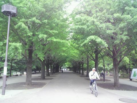 久しぶりに来ました、光が丘公園。平日昼間にもかかわらず人は結構いました。（写真は少ないですけど・・・）公園の入口部分、ジョギングコースでもあります。