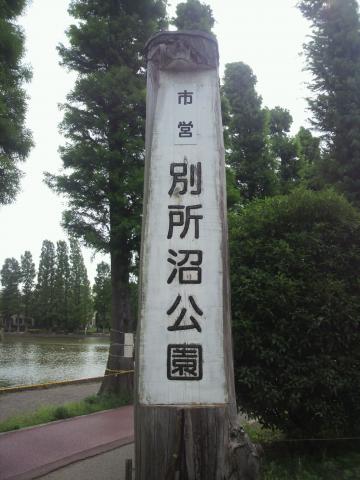 埼玉県にある「別所沼公園」そんなに大きくない公園ですが、１周900ｍのジョギングコースがあります。