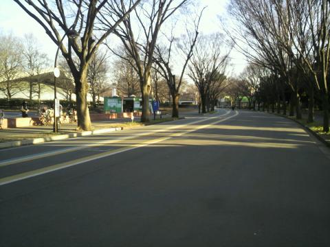 平日だとあまり人も多くないので走り易いですね。なんて言ってますが・・・。休日の駒沢公園には来たことがありません。