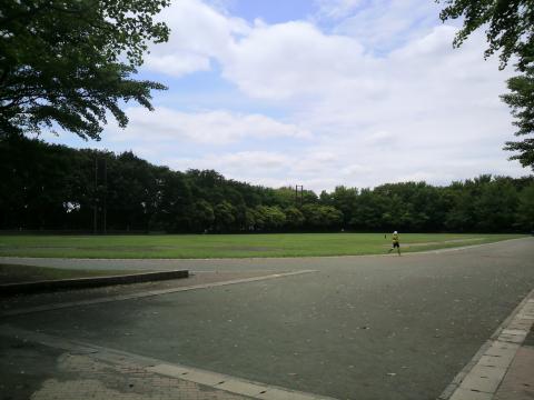 平日の昼間ですので、利用者は少ないです。陸上トラックと行っても400Ｍの形をしてるだけで、オールウェザーのトラックと言うわけではありません。アンツーカーと言うより、土のトラックです。