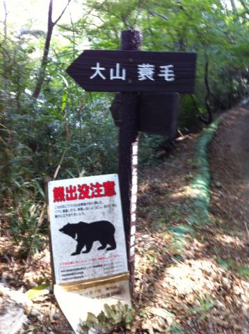 運が悪ければ熊に遭遇するようです。