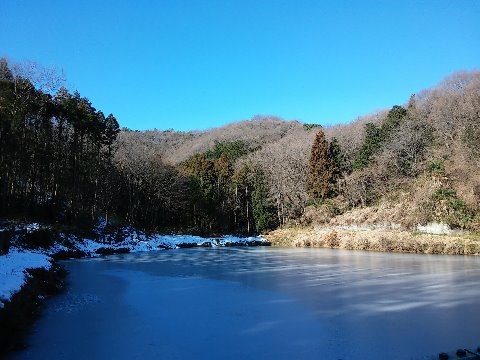 池は完全に凍結していました。