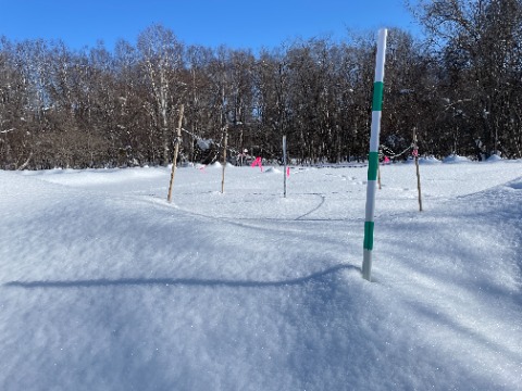 大沢口の積雪計は1m33cm。