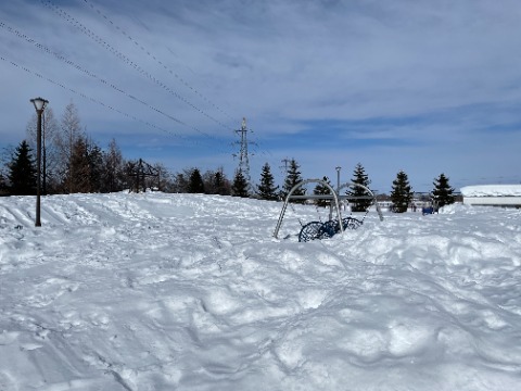 町内の児童公園は雪に埋もれていました。