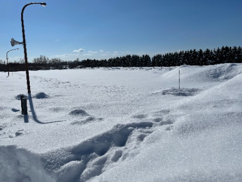 野幌森林公園百年記念塔駐車場は雪原状態。