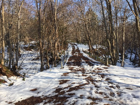ウッドチップの道から基線方面へ戻る道はまだ雪が解けきっていない。凍結はしていないがぐちゃぐちゃ道。明日の好天でどれくらい状態がよくなるか。