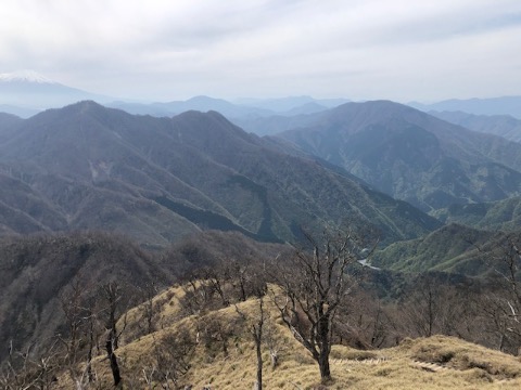 蛭ヶ岳から檜洞丸〜大室山　昨日たどってきた稜線