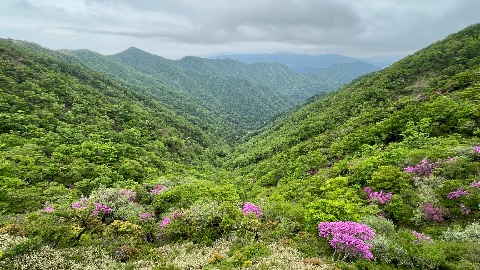 丹沢の深い谷
