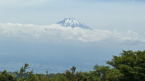 矢倉岳より富士の頭