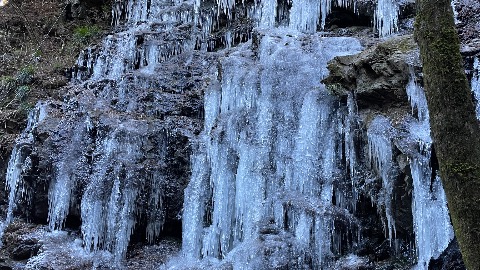 わずか10日間で一気に成長