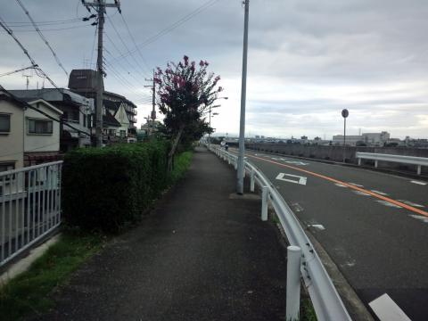 ここから安全のため歩道を行く。路面は車道の方が明らかに良好。