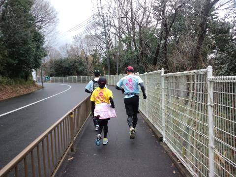 自然歩道を抜けるとこんな感じ