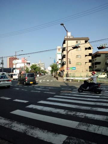 7km付近　奥の歩道を行く