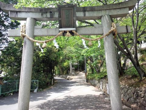 鳥居の奥へ