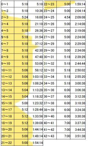 今回のペース表。ポーチに入れていたが、結局レース中は一度も見なかった。