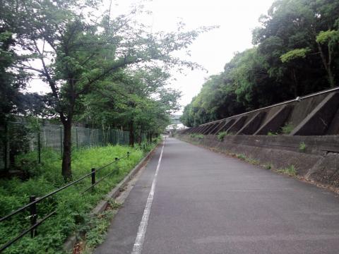 自動車教習所の脇を通って