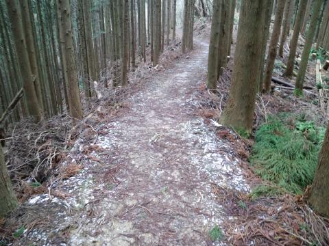 路面に雪あり