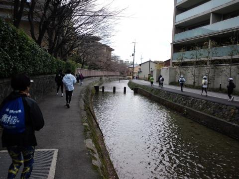 白川疎水に沿って進む