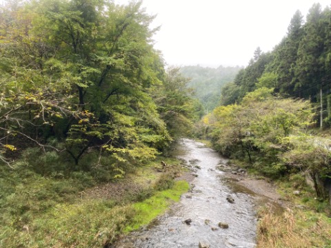 雨だったのであまり写真撮れず。でも何もないのも寂しいので途中で一枚。