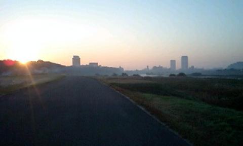 早朝の江戸川河川敷
我が家まであと3km