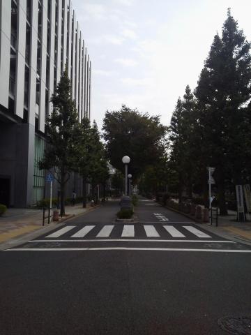 映画にも出てくる銀杏並木。左が早稲田の理工学部、右手奥が新宿コズミックセンター。