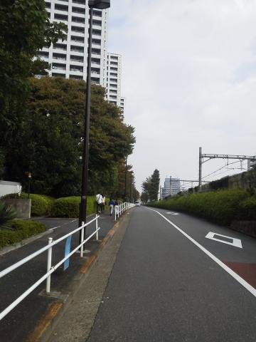 山手線の線路を左折、また一直線の道。右は山手線、西武新宿線。走りやすいけど風が強い(･_･;